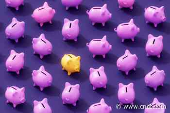 The Fed May Be Done with Rate Hikes, Experts Say. That Means High Savings Rates Won't Stick Around Much Longer     - CNET