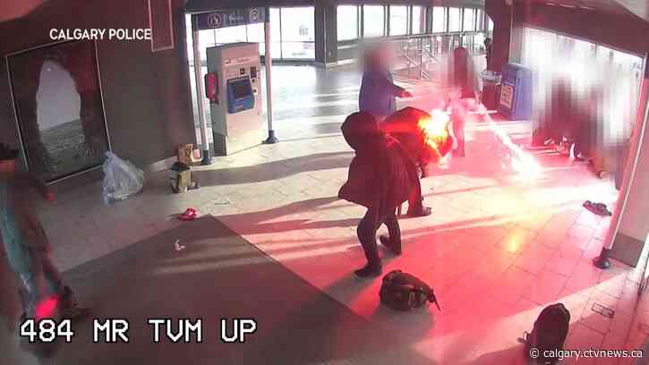 Calgary approves public transit safety strategy, pending budget's green light