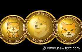 Meme Coins That Are Ripe For The Picking Following $3.2 Billion Crash
