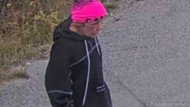 Search for missing assault victim continues; police believe she has serious injuries