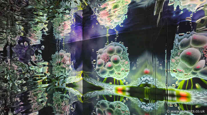 Illusionaries fills rooms with AI generated video animals