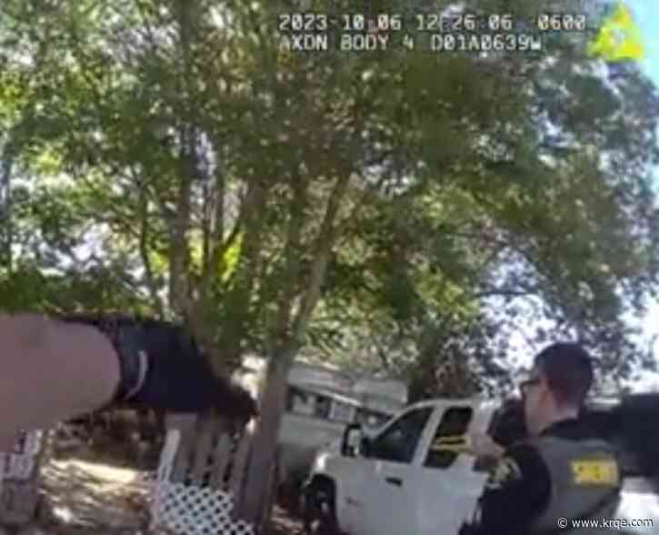 BCSO determines deputy acted within policy when shooting at unrestrained dog