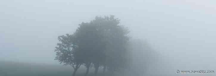 Solana Price Direction Remains Hazy Despite 10% Weekly Rally