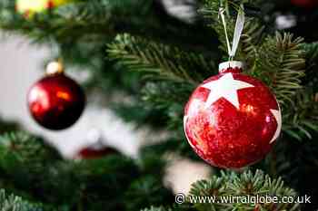 Forget Me Not Christmas switch-on for Martin Gallier Project