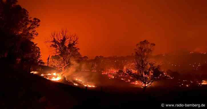 «Eingekesselt»: Buschbrand wütet an Australiens Ostküste