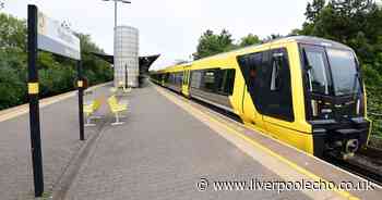 Merseyrail says 'no sign' of bed bugs on our trains as other networks hit by outbreak