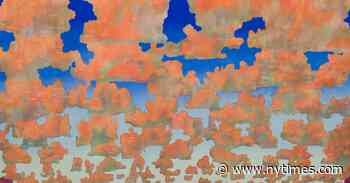 Texas Museum Uses Art Exhibition to Consider Climate Change