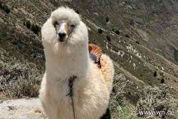 Die Vielfalt eines Kontinents entdecken