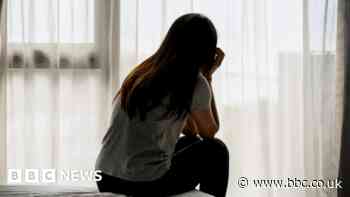 People 'at risk' of abuse in Bristol and Somerset due to police backlog