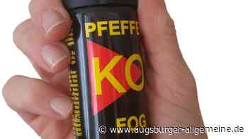 Fahrgast verpestet Zug am Ulmer Hauptbahnhof