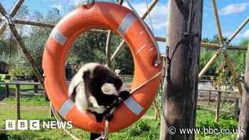 Isle of Wight: Old life rings donated to animal sanctuary