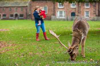 Get a free National Trust pass worth up to £50 for your family day out this autumn