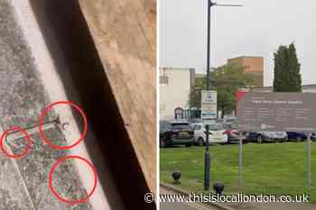 Vale Farm Sports Centre shuts sauna after 'infestation'