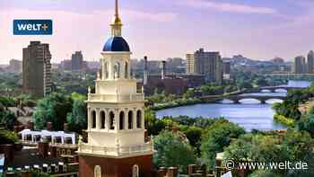 „Von Ideologie verblendet“ – An Amerikas Elite-Unis eskaliert der Antisemitismus