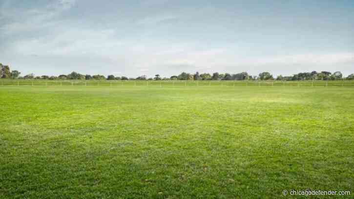 Black Family Wins 12-Year Court Battle With Stranger Trying To Take Land