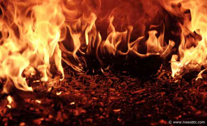 Shiba Inu Burn Rate Takes A Steep Dive: 91% Decrease In 24 Hours