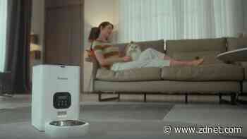 This automatic feeder is my cat's best friend, and it's 42% off on Amazon