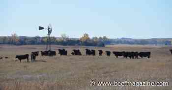 Nebraska & SDSU launch Great Plains Heifer Development Program