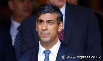 Rishi Sunak warned heat pump rollout delay will 'cost households thousands’