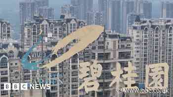 Country Garden: China property giant default fears grow