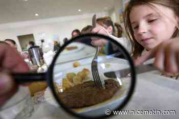 Paniers antigaspi, cours de cuisine au primaire... L'exécutif annonce de nouvelles mesures pour les cantines scolaires