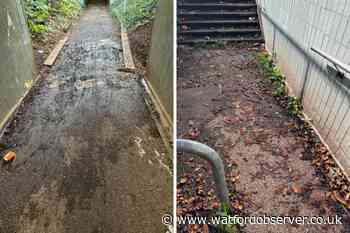 Bucknalls Lane underpass in Garston branded 'disgraceful'