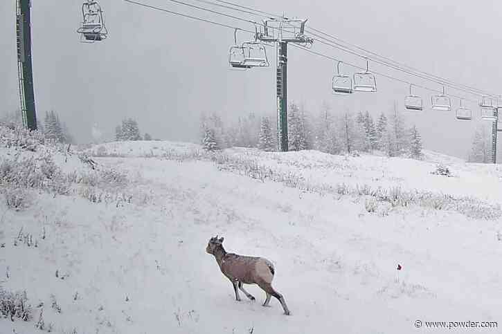 Canadian Resort Wakes Up To "Fresh Blanket Of Snow" As Opening Day Excitement Builds