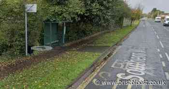 Police hunt after male hiding in bushes pounces on woman