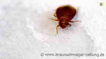 Heißes Date mit Milou in Paris