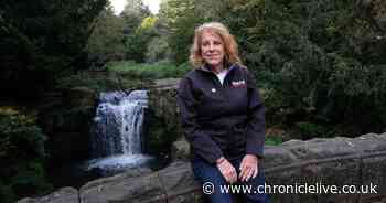 New vision to clean up the Ouseburn river as £1m fund launched to kickstart massive regeneration