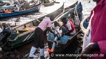 Deutz: Motorenbauer scheitert mit Torqeedo beim grünen Umbau