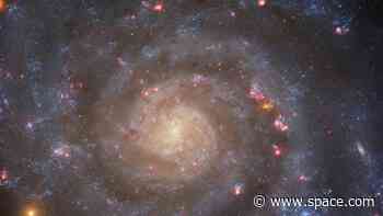 Hubble Telescope captures the bright core of a loosely wound spiral galaxy (photo)