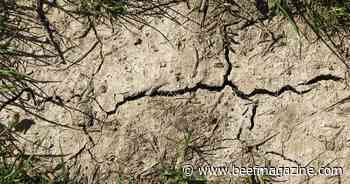 Pasture and range conditions ending on slightly sour note