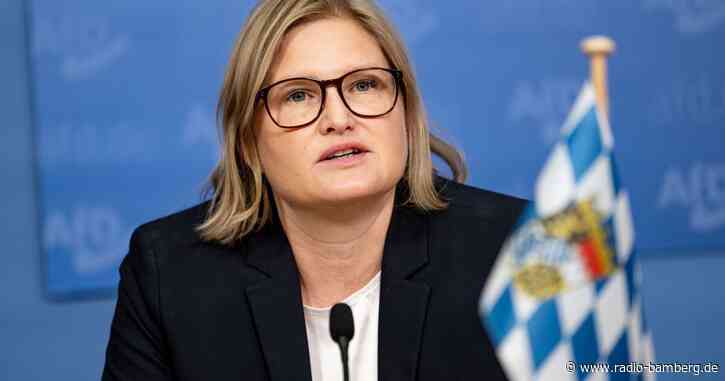 AfD mit Rechtsruck: Ebner-Steiner alleinige Fraktionschefin