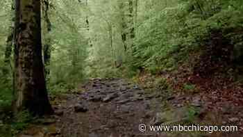 DuPage County officials seek input on plan to maintain, enhance nature trails