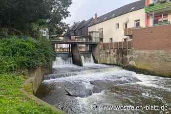 Radewiger Wehr soll umgestaltet werden