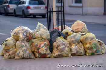 Werther und der Hausmüll: Alles im Sack oder alles in der Tonne?