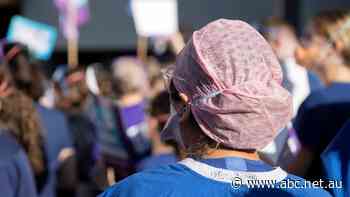 Cautious optimism new Tasmanian pay deal will help address hundreds of nursing job vacancies