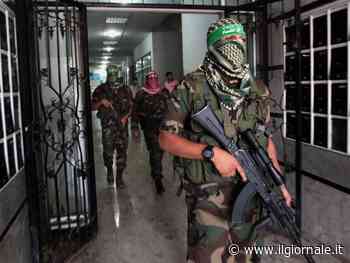 Sondaggio choc su Gaza, ecco la verità sull'ospedale e Fagioli: quindi, oggi...