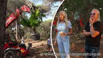 Leben in Saus und Braus: Geissens starten Mega-Luxus-Projekt