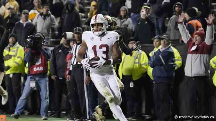 Stanford receiver Farrell not surprised by Canadian Ayomanor’s stellar performance