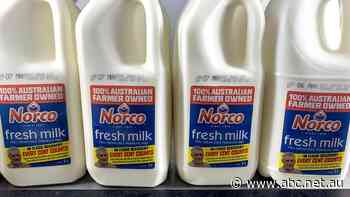 Flood-ravaged dairy cooperative Norco delivers $9.1m profit, ice cream factory set to reopen