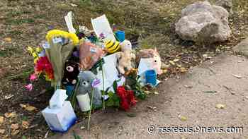 7th grader hit, killed while riding bike near school