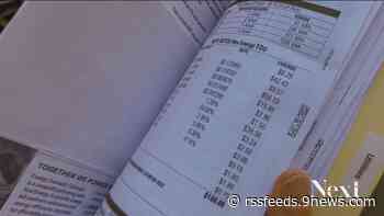 Some Xcel customers with 'average monthly payments' are getting bills for odd amounts