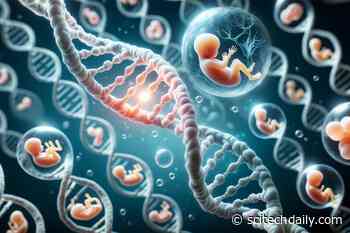 Unborn Secrets: The Prenatal Development of Fragile X Syndrome
