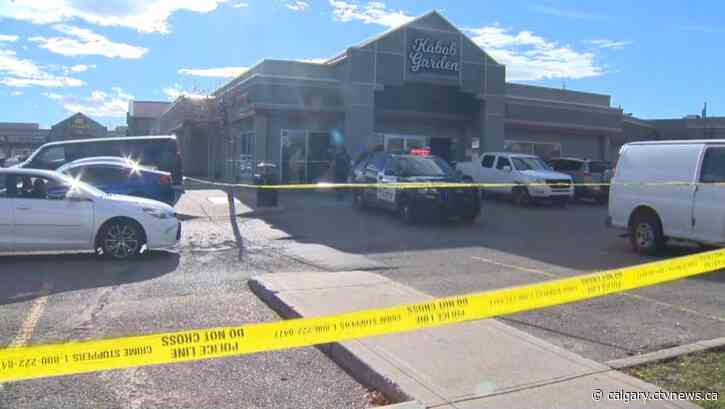 Calgary police officer shot, residents asked to avoid Falconridge Plaza