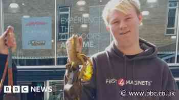 Magnet fisherman in Chelmsford praised for river finds