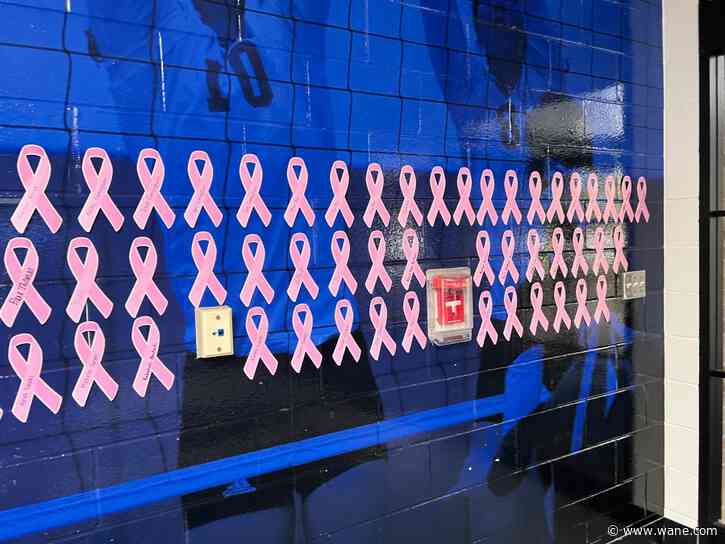 University of Saint Francis volleyball holds "Pink Out" for breast cancer awareness