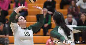 Girls volleyball: Stevenson, Libertyville share NSC title after Pats' 3-set win