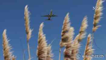 Die wundersame Wiederauferstehung eines Reiseversicherers nach der Pandemie – und was andere Firmen davon lernen können